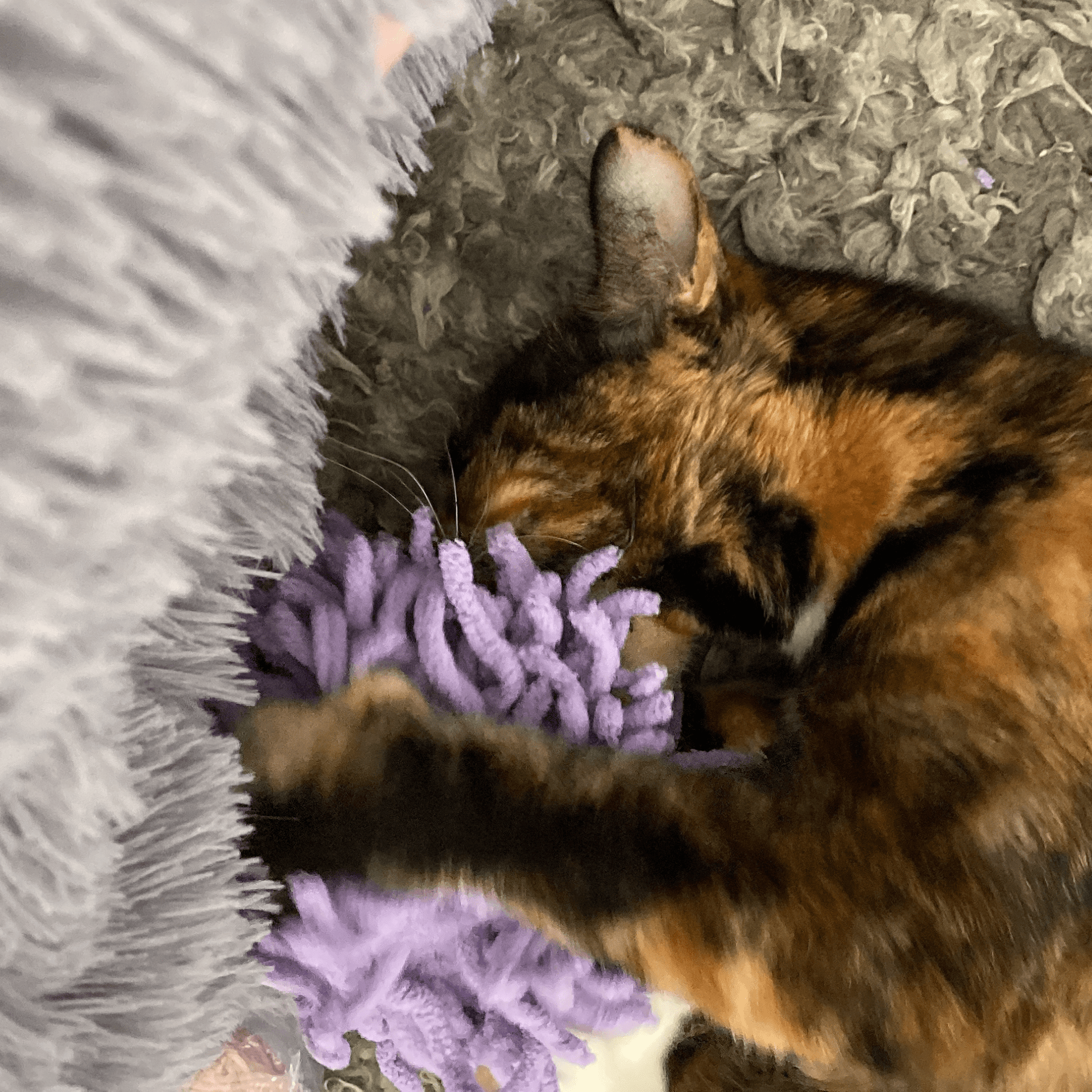 Purrfectly Plush Catnip Toy Crochet Pattern PDF | Instant Download | Beginner Friendly - Candicouturedesigns