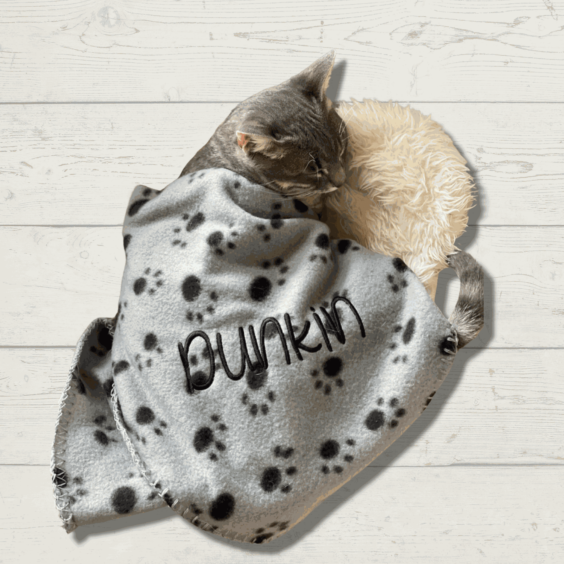 Personalized Fleece Cat or Dog Blanket