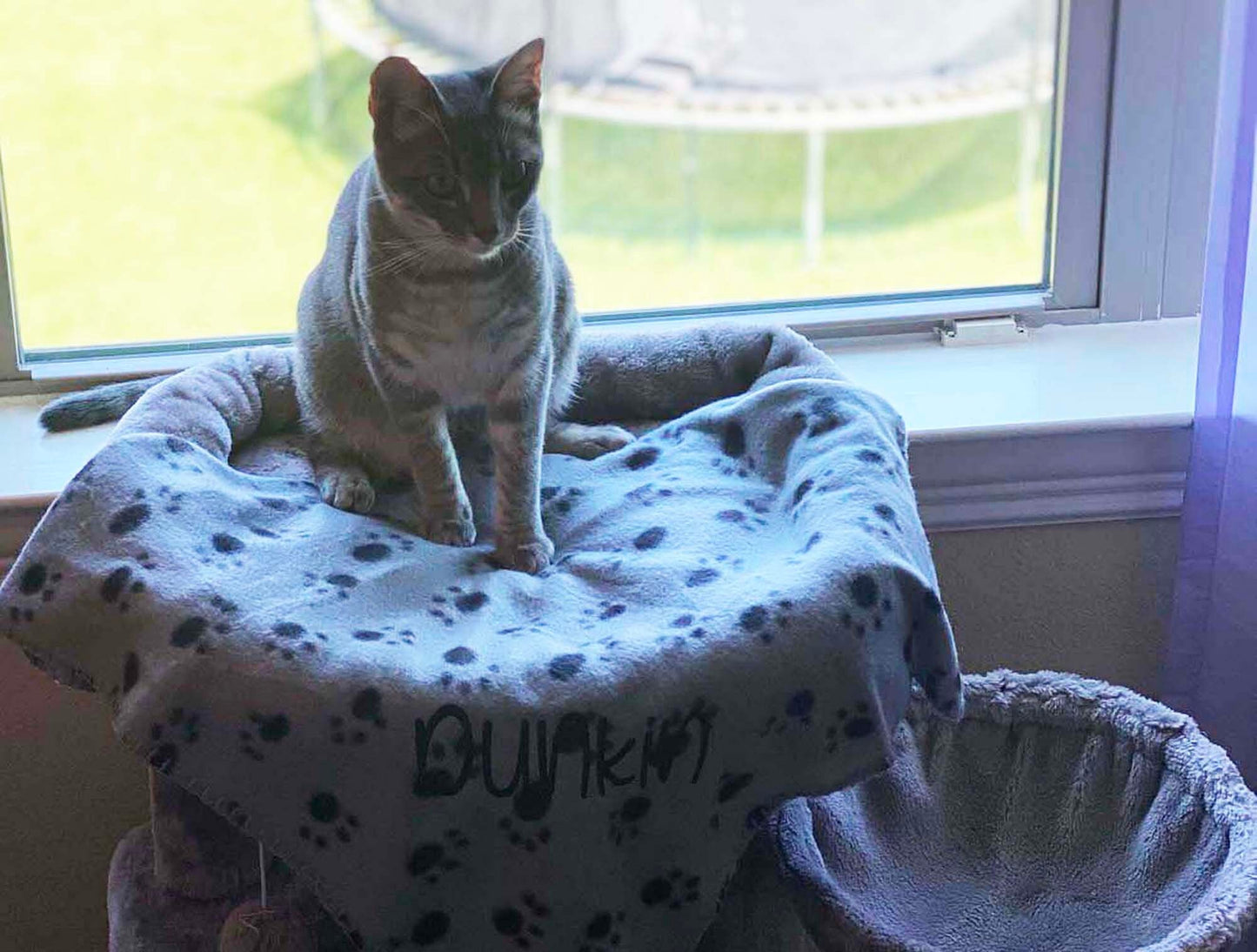 Custom Cat Blanket, Monogrammed Dog Blanket, Puppy Name Blanket, Cat Blanket, Embroidered Fleece Blanket, Pet Bedding, Cat Bed with Name